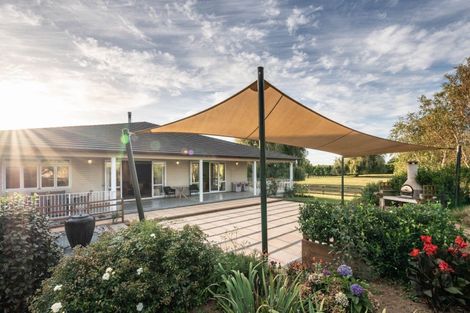 Photo of property in 81 Racecourse Road, Cambridge, 3493