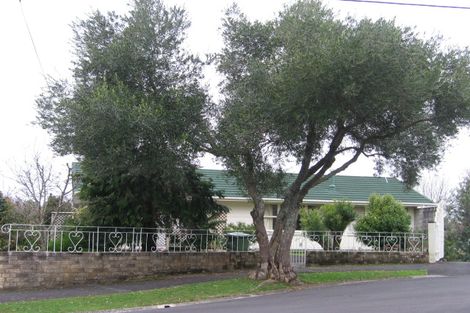 Photo of property in 15 Seifert Street, Forest Lake, Hamilton, 3200