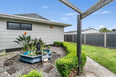 Photo of property in 79 Worcester Street, Ashhurst, 4810