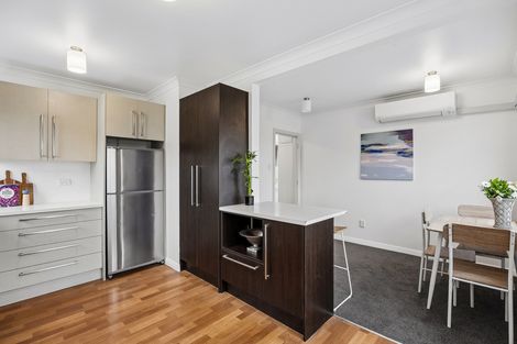 Photo of property in 9 Peter Street, Caversham, Dunedin, 9012
