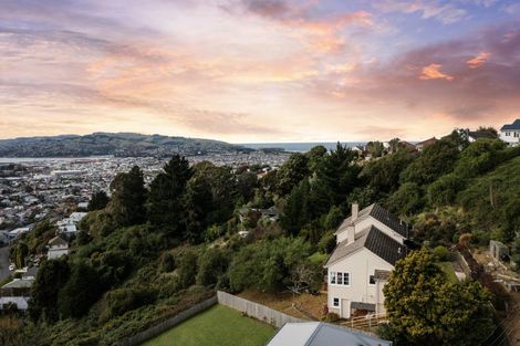 Photo of property in 46 Waimea Avenue, Calton Hill, Dunedin, 9012