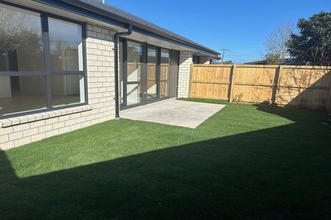 Photo of property in 119 Fitzroy Avenue, Fitzroy, Hamilton, 3206