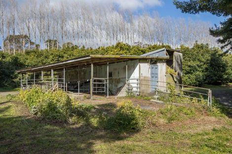 Photo of property in 308 Athenree Road, Athenree, Katikati, 3177