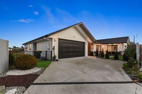 Photo of property in 54 Maggie Place, Chartwell, Hamilton, 3210