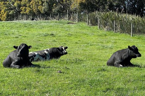 Photo of property in 30 Frazer Road, Tuturau, Mataura, 9774