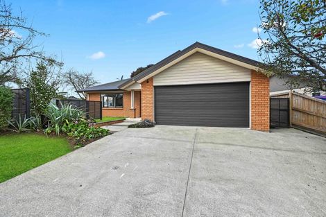 Photo of property in 19 Mickelson Avenue, Rototuna, Hamilton, 3210