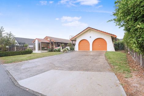 Photo of property in 6 Mayfair Avenue, Chartwell, Hamilton, 3210