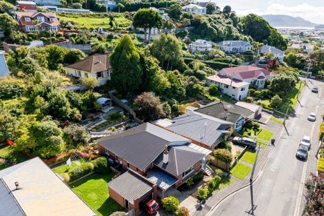 Photo of property in 16 Motu Street, Saint Clair, Dunedin, 9012