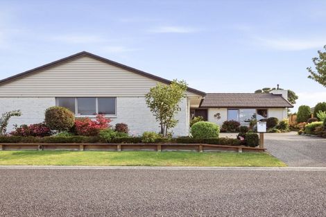 Photo of property in 11 Allington Place, Bethlehem, Tauranga, 3110