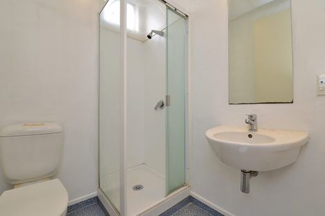 Photo of property in Fusion Apartments, 5/29 Jessie Street, Te Aro, Wellington, 6011