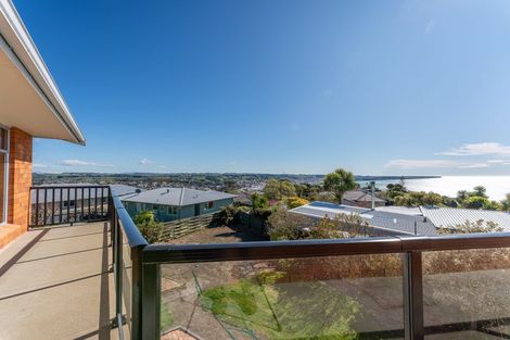Photo of property in 18 Brinkburn Street, South Hill, Oamaru, 9400