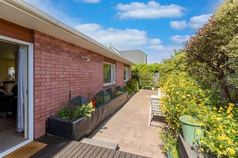 Photo of property in 11 Berwick Street, St Albans, Christchurch, 8014