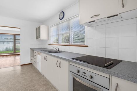 Photo of property in 3 Roosevelt Street, Levin, 5510