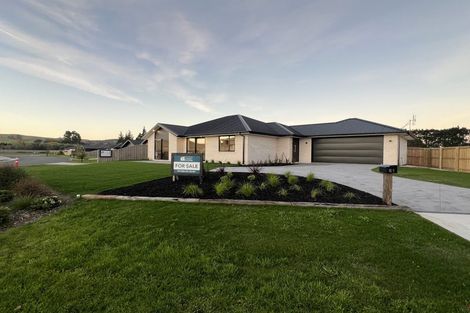 Photo of property in 61 Hilton Drive, Amberley, 7410