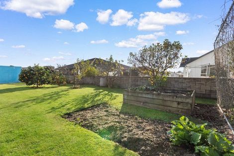 Photo of property in 8 Morrice Avenue, Morrinsville, 3300