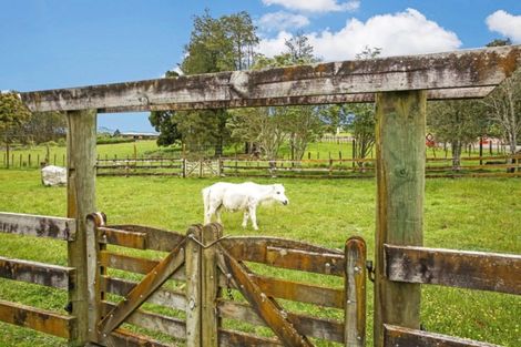 Photo of property in 266 Hart Road, Pukekohe, 2676