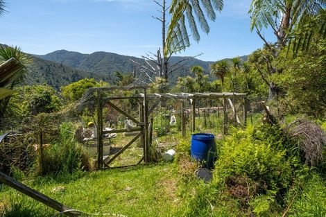 Photo of property in 565 Anakoha Road, Anakoha, Marlborough Sounds, 7284