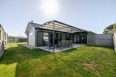Photo of property in 33 Monarch Drive, Ashhurst, 4810