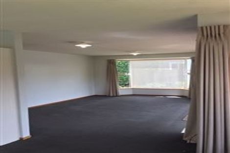 Photo of property in 66 Martin Avenue, Beckenham, Christchurch, 8023