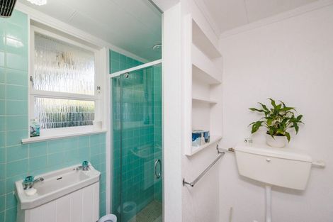 Photo of property in 245 Victoria Avenue, Hokowhitu, Palmerston North, 4410
