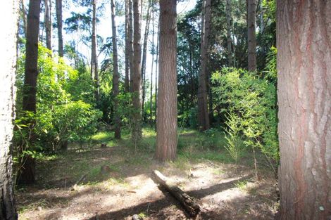 Photo of property in 175 Brunswick Road, Brunswick, 4571