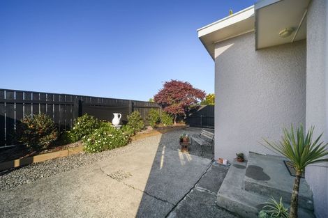 Photo of property in 141 Ferguson Street, West End, Palmerston North, 4412