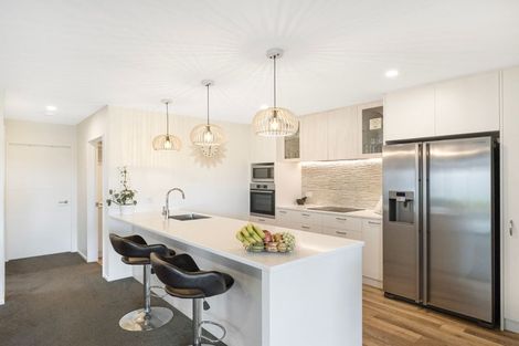 Photo of property in 49 Mcgrath Drive, Lincoln, 7608