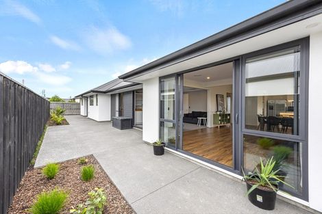 Photo of property in 10 Mills Road, Marshland, Christchurch, 8051