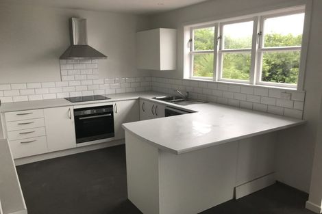 Photo of property in 156 Washington Avenue, Brooklyn, Wellington, 6021