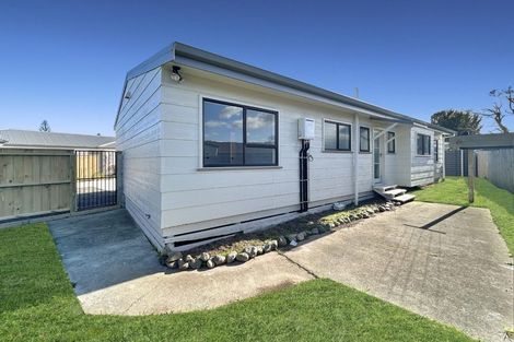 Photo of property in 420 Tremaine Avenue, Takaro, Palmerston North, 4412