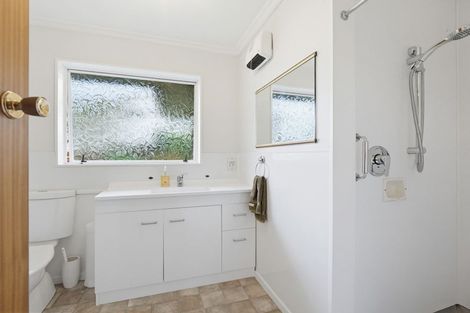 Photo of property in 45 Dittmer Drive, Awapuni, Palmerston North, 4412