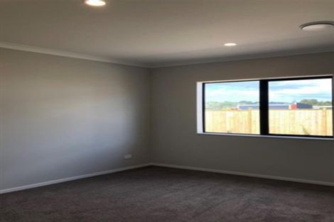 Photo of property in 13 Golden Avenue, Flat Bush, Auckland, 2019