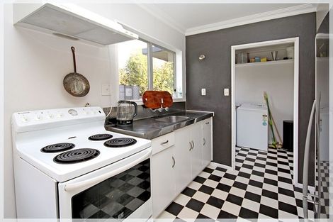 Photo of property in 49 Strathmore Avenue, Levin, 5510