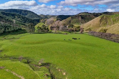 Photo of property in 1584 Brunswick Road, Kai Iwi, Whanganui, 4578
