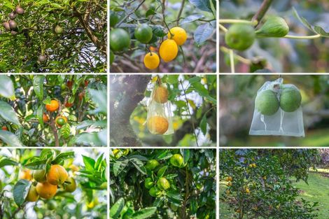 Photo of property in 26 Blackburne Road, Te Horo, Otaki, 5582