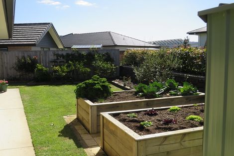 Photo of property in 46 Leeward Drive, Whitianga, 3510