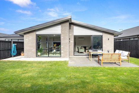 Photo of property in 43 Henshaw Street, Woodend, 7610