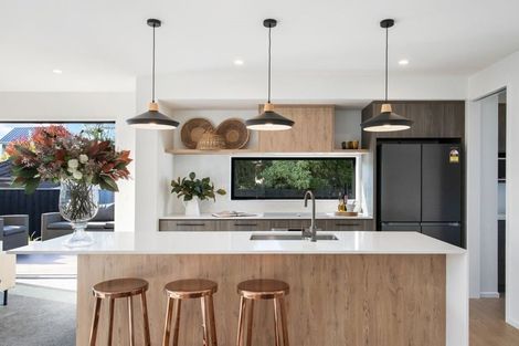 Photo of property in 101 Leistrella Road, Hoon Hay, Christchurch, 8025