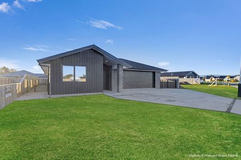 Photo of property in 52 Benn Street, Amberley, 7410
