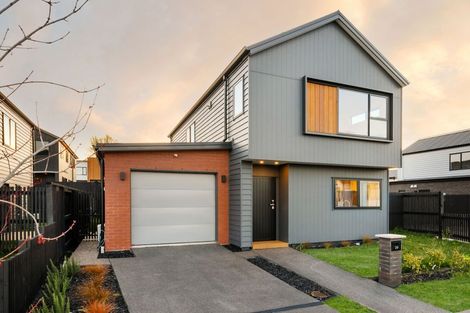 Photo of property in 29 Earp Crescent, Chartwell, 3210