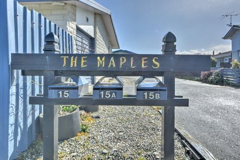 Photo of property in 15a Canning Street, Gore, 9710