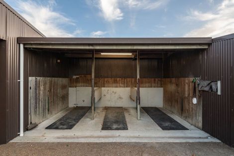 Photo of property in 81 Racecourse Road, Cambridge, 3493