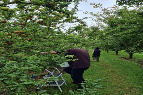 Photo of property in 1520 Tram Road, Swannanoa, Rangiora, 7475