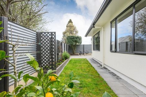 Photo of property in 19a Carlisle Street, Milson, Palmerston North, 4414