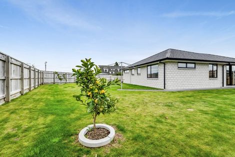 Photo of property in Cowling Road, Hurdon, New Plymouth, 4310