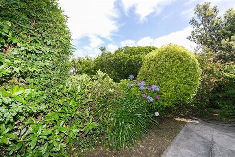 Photo of property in 18 Putnam Street, Northland, Wellington, 6012