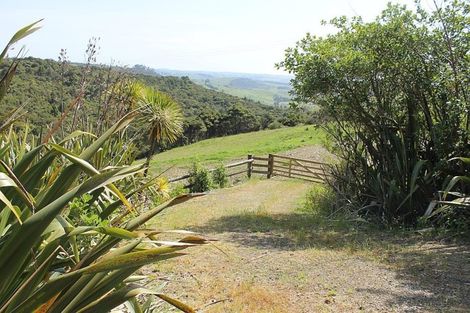 Photo of property in 60 Summer Road, Tinopai, Matakohe, 0593