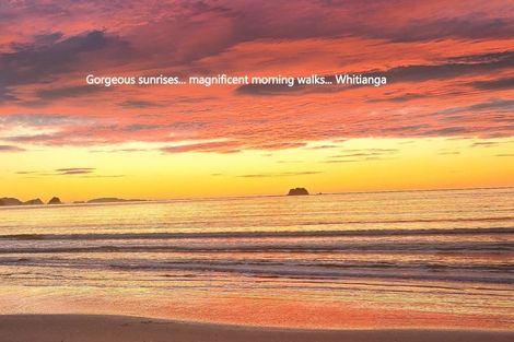 Photo of property in 29 Wells Place, Whitianga, 3510