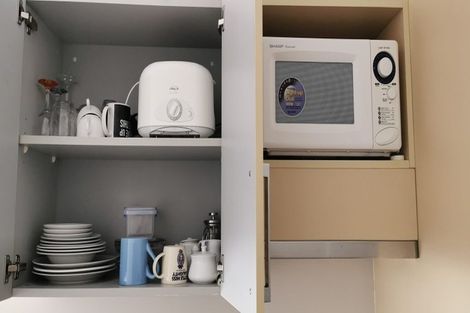 Photo of property in Dual Apartments, 108/142u Vivian Street, Te Aro, Wellington, 6011