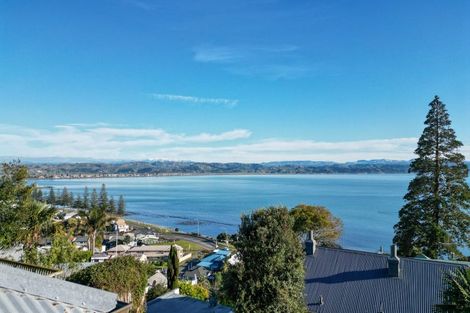 Photo of property in 33 Seapoint Road, Bluff Hill, Napier, 4110